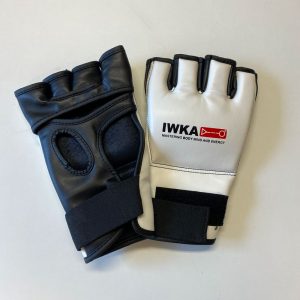 Kung Fu-Handschuhe-weiß-schwarz